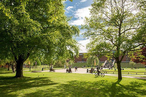 University of Sussex - Campus